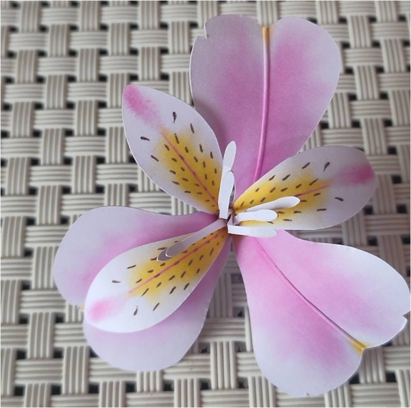 kit de Flores 3d de papel para decoração(ASTROMÉLIAS) - Image 3